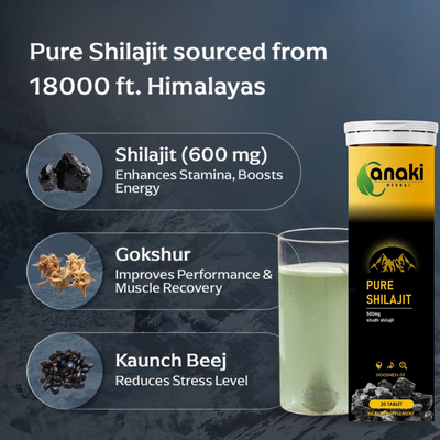Anaki Original Himalayan Shilajit Effervescent Tablets 20 Tab |Pure Original Shilajit (500 mg) For Stamina & Performance Helps Boost Strength | For Muscle Recovery & Endurance