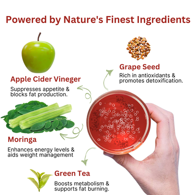 Anaki Acv Moringa Effervescent Tablet | Control Cravings  I No Maltodextrin & No Added Sugar I - Green Apple
